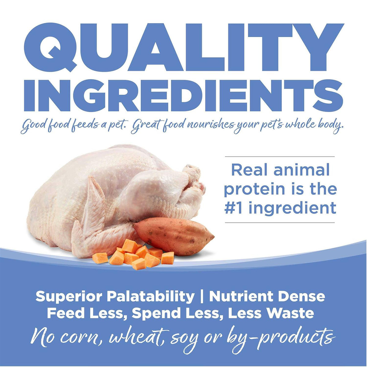 Grain-Free Turkey & Sweet Potato Dry Dog Food O12479