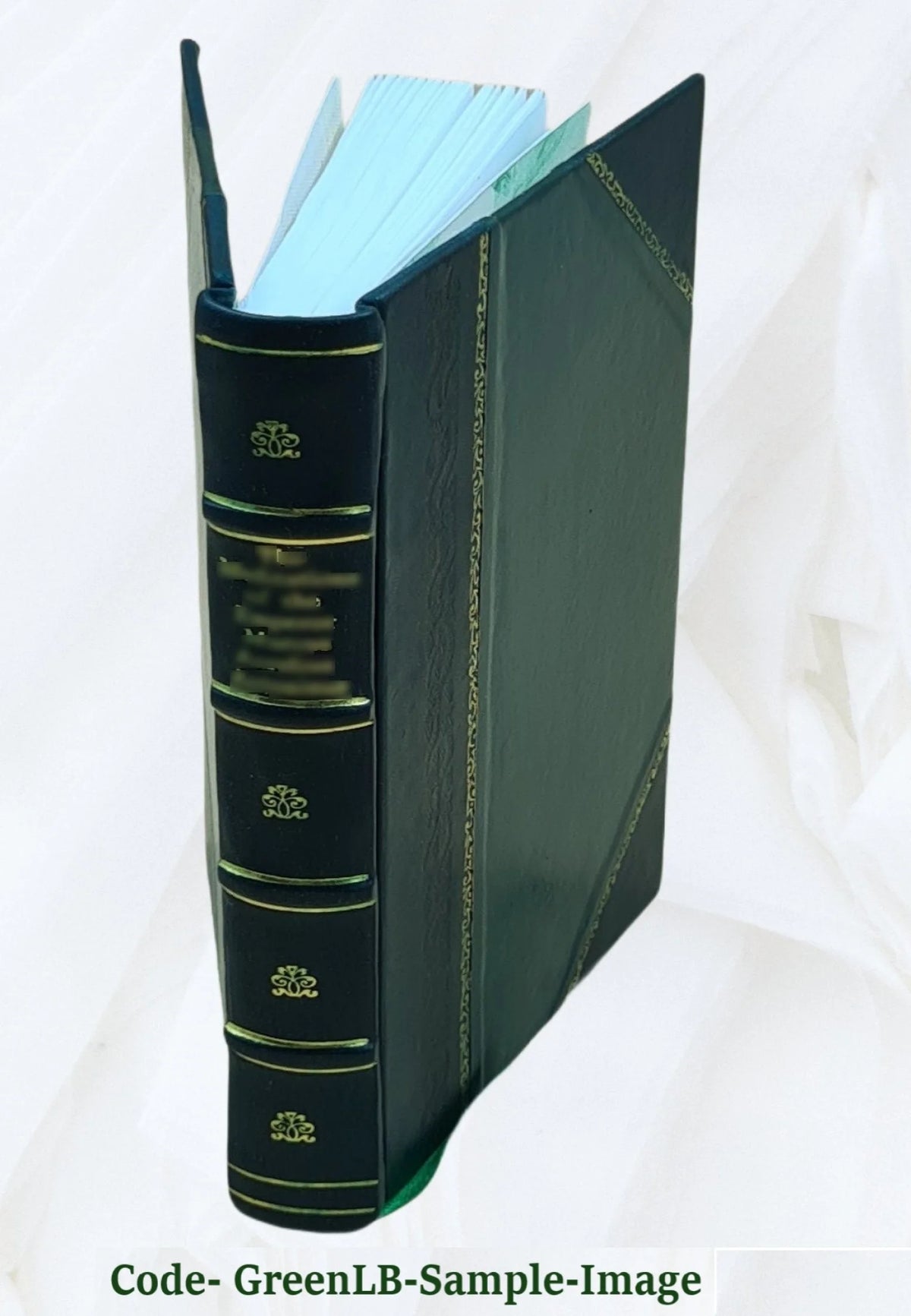 Woods and Lakes of Maine Trip from Moosehead Lake to New Brunswick in a Birch-Bark Canoe with Indian Place-Names and Their Meanings 1971 Leather Bound J28479