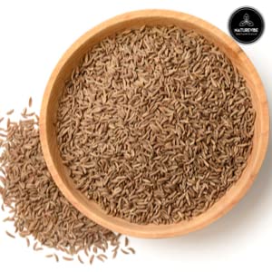 Garlic Ground Powder, 5lbs Q3831
