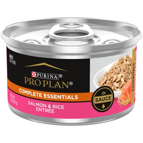 24 Pack 3 oz Wet Cat Food Salmon and Rice Entree in Sauce Z225321