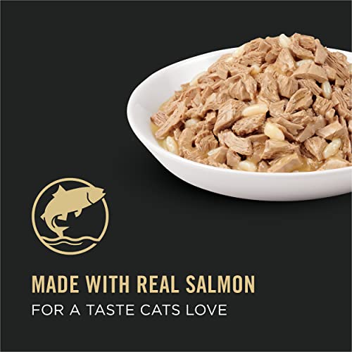 24 Pack 3 oz Wet Cat Food Salmon and Rice Entree in Sauce Z225321