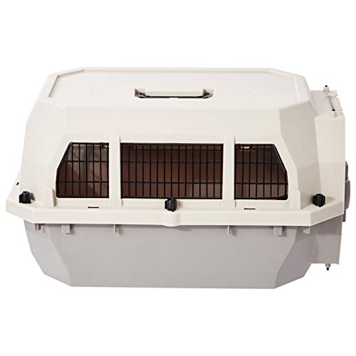 2-Door Top-Load Hard-Sided Pet Carrier, Gray & Blue, 22.8 x 15.0 x 13.0 inches L5919