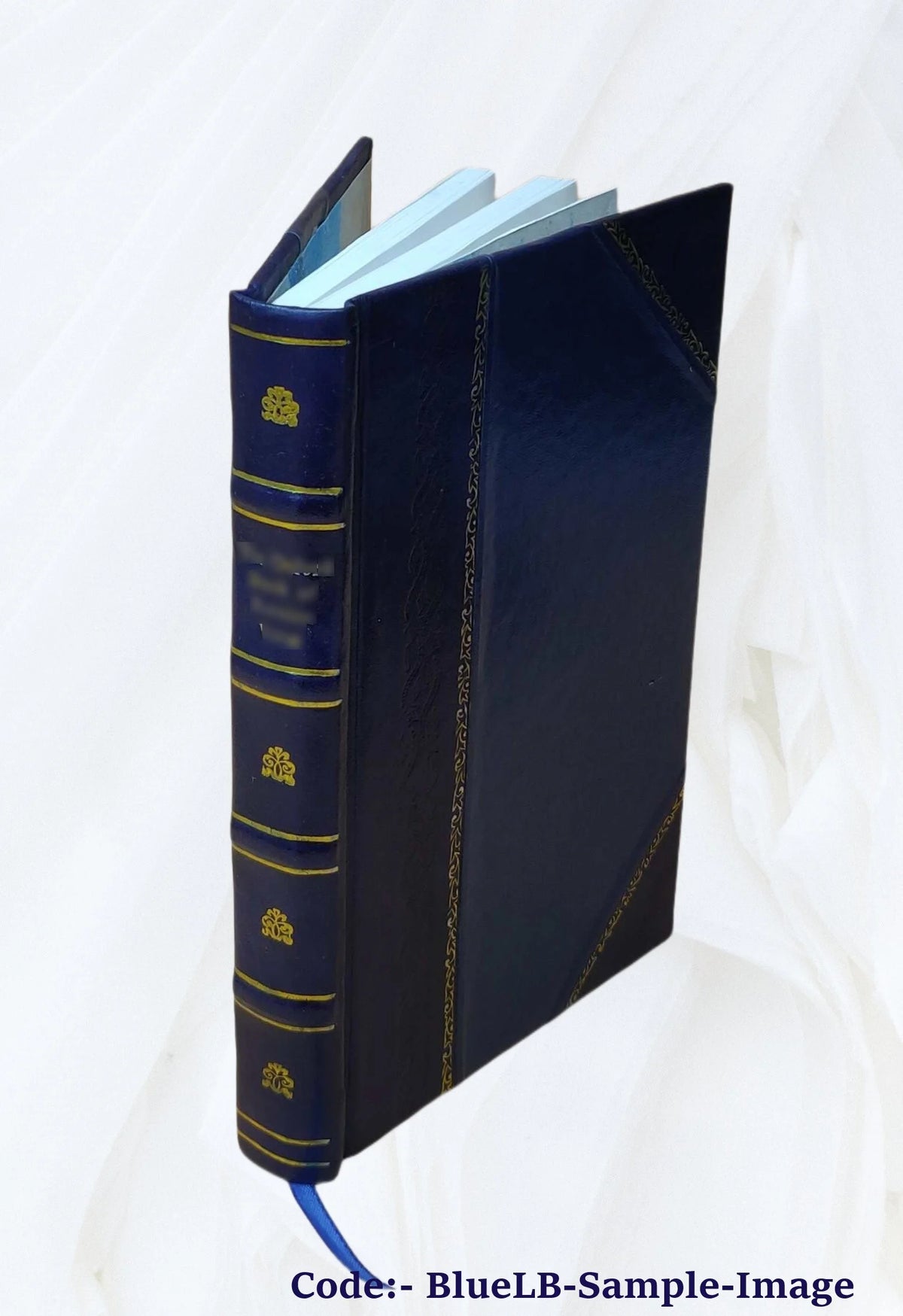 Woods and Lakes of Maine Trip from Moosehead Lake to New Brunswick in a Birch-Bark Canoe with Indian Place-Names and Their Meanings 1971 Leather Bound J28479