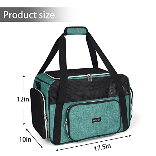 Green Soft Sided Pet Travel Carrier V64610
