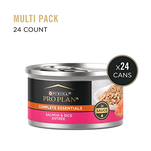 24 Pack 3 oz Wet Cat Food Salmon and Rice Entree in Sauce Z225321