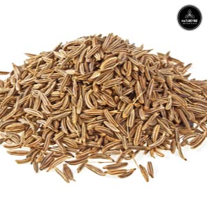 Garlic Ground Powder, 5lbs Q3831