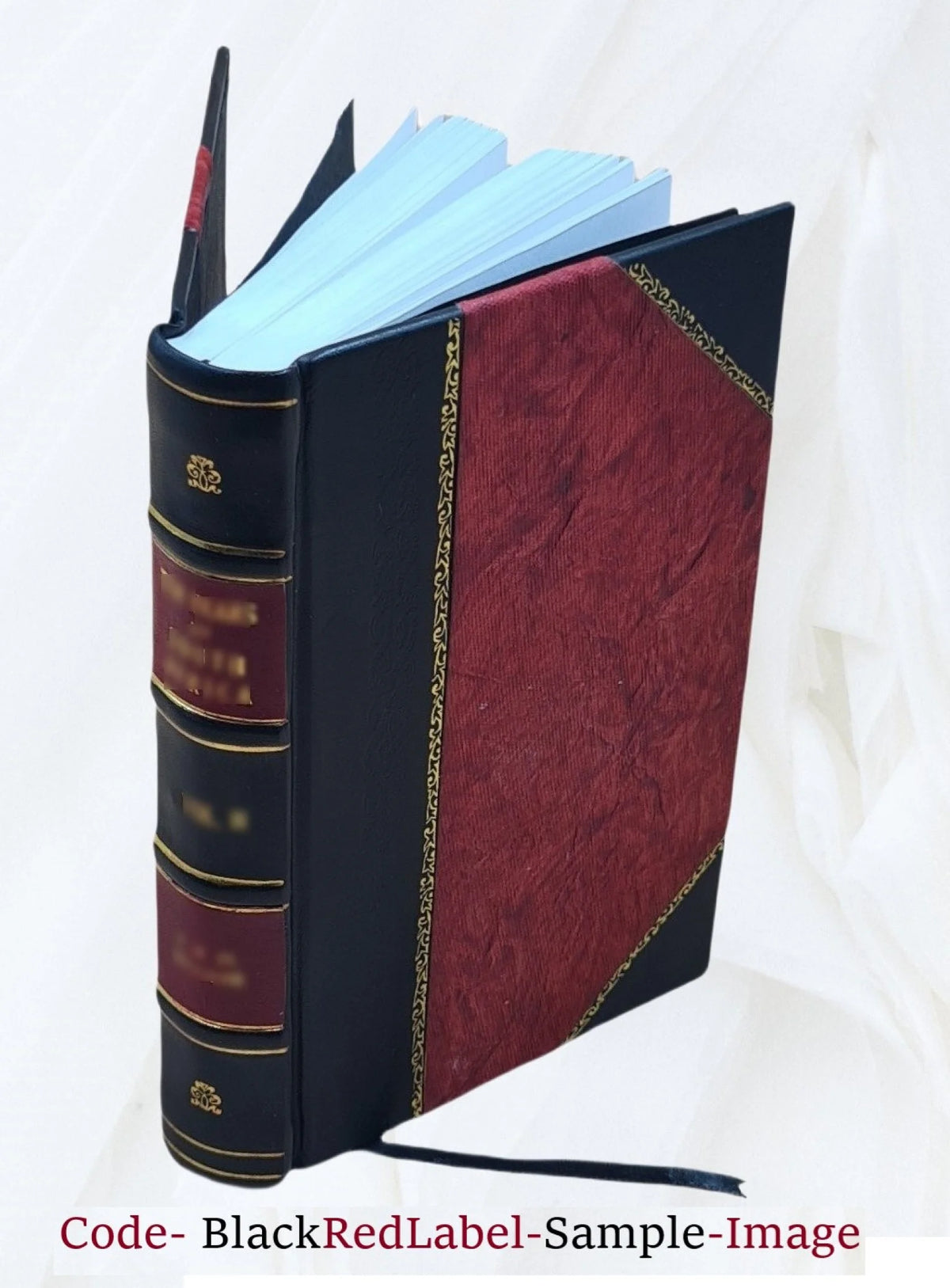 Woods and Lakes of Maine Trip from Moosehead Lake to New Brunswick in a Birch-Bark Canoe with Indian Place-Names and Their Meanings 1971 Leather Bound J28479